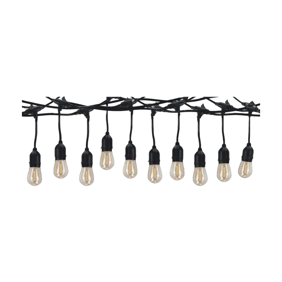 Cata CT-7071 Sarmaşik 10 Ampullü Diş Mekan Set